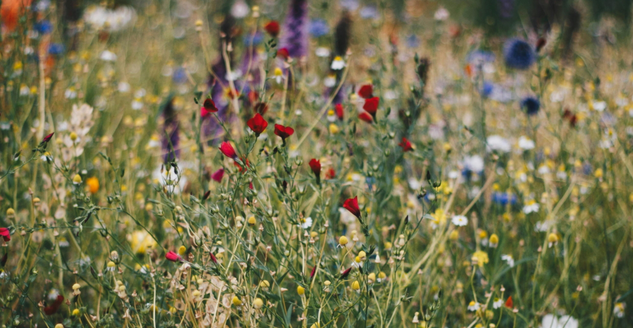 February Featured Image