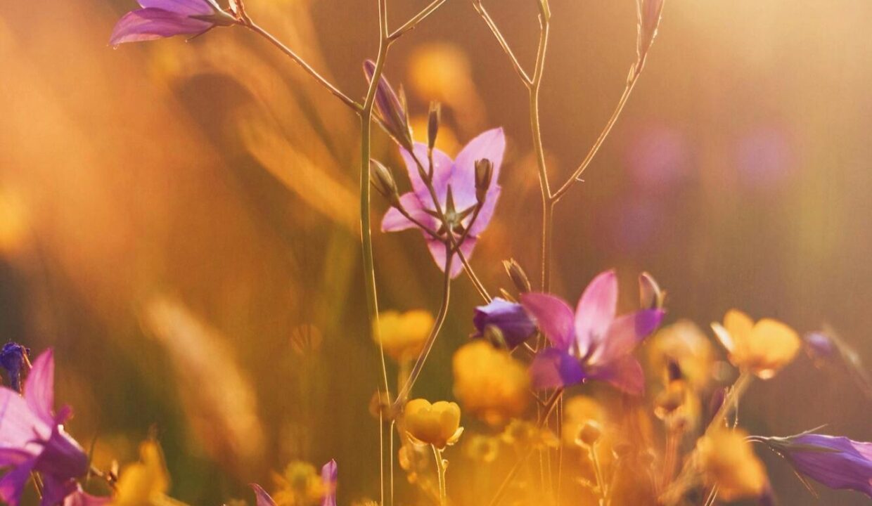 April Featured Image