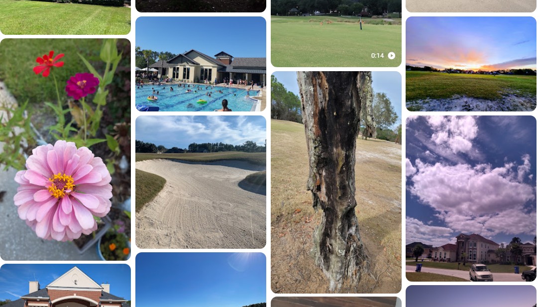Fairways and lakes near homes in Fruit Cove, Florida