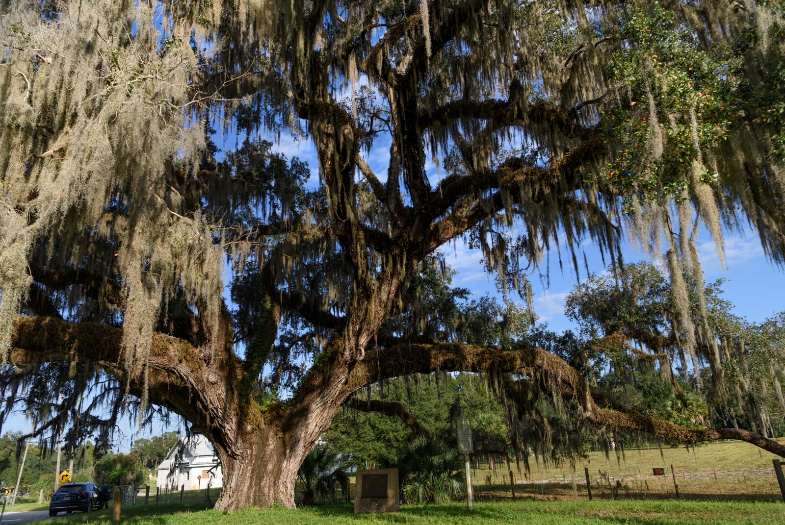 Bartram Trail homes in Fruit Cove, Florida